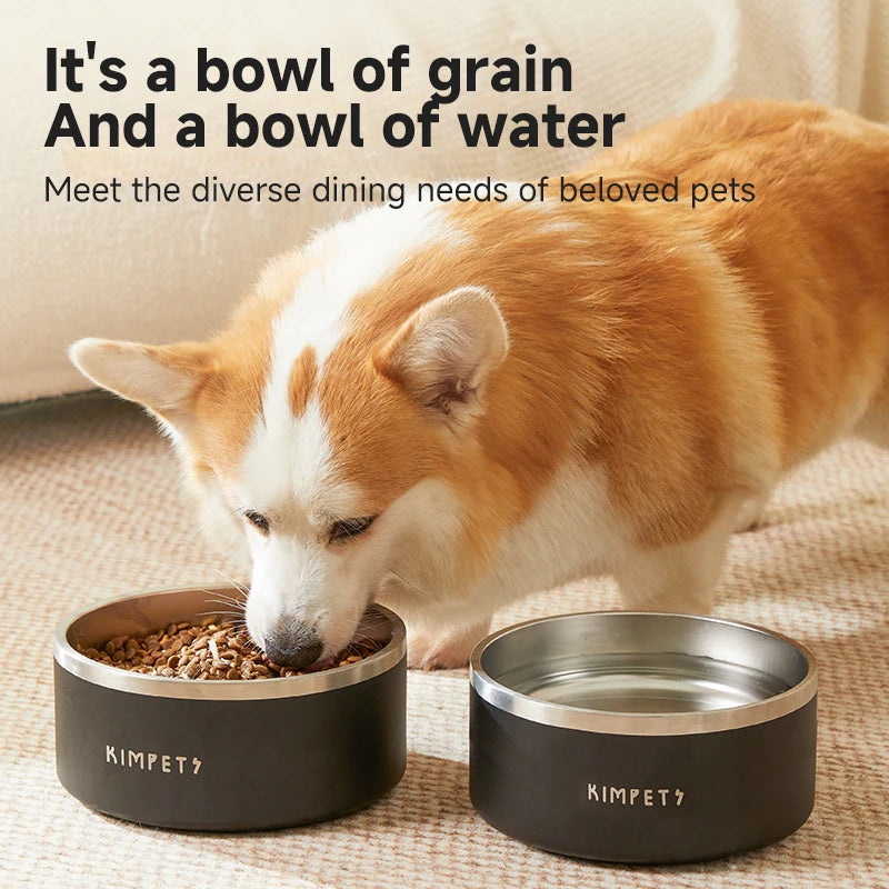 Value Pack Stainless Steel Pet Food Bowl Set Double Wall Insulated Non-Slip Dog & Cat Dish Lightweight Durable Easy Clean